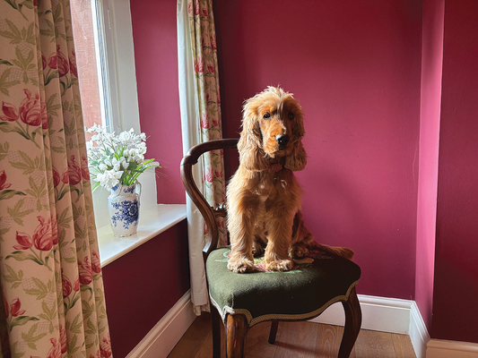 A Timeless Cumbrian Retreat: Our Stay at Stag Cottage, The Rowley Estates