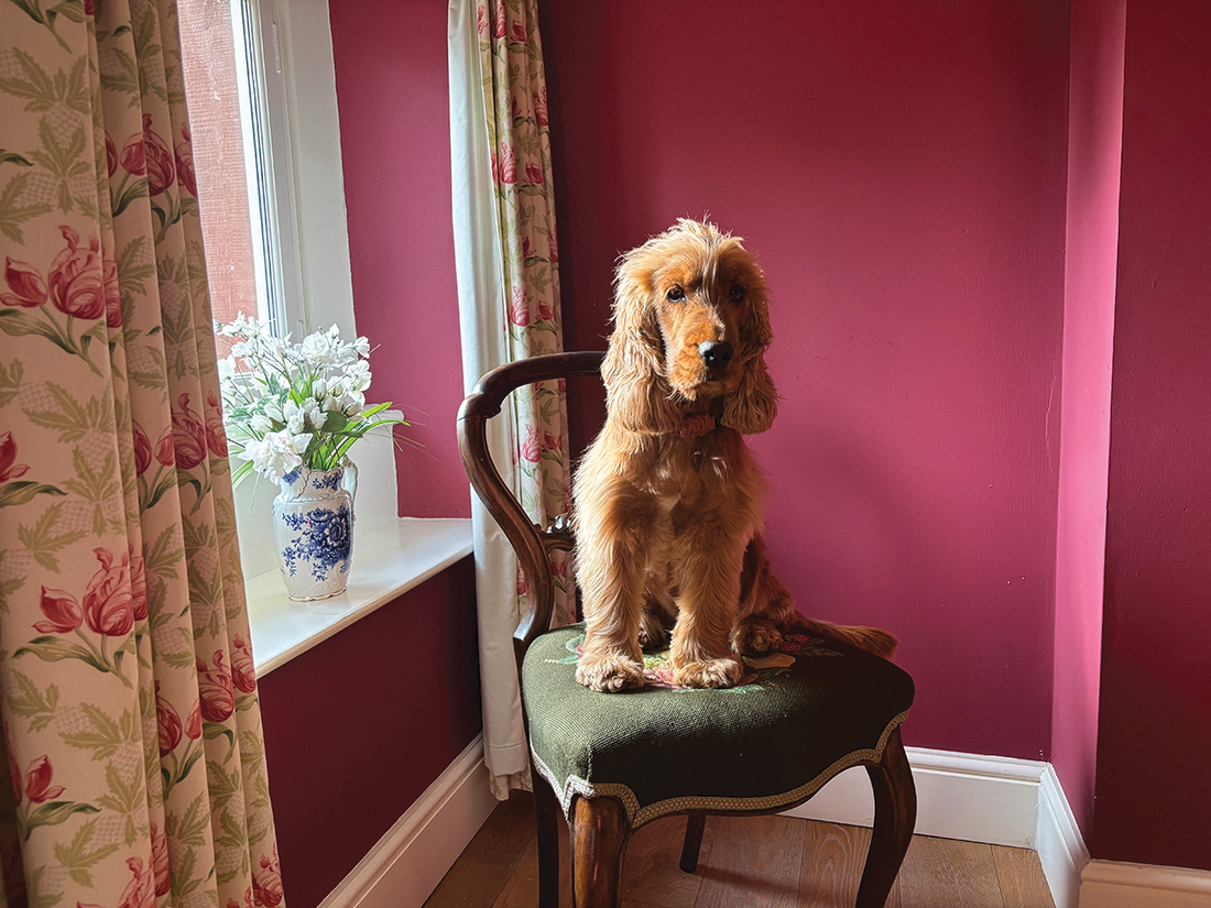 A Timeless Cumbrian Retreat: Our Stay at Stag Cottage, The Rowley Estates