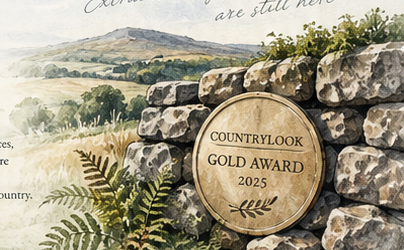Countrylook Gold Award on an old British dry stone wall